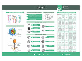 Электрифицированный стенд «Вирус»